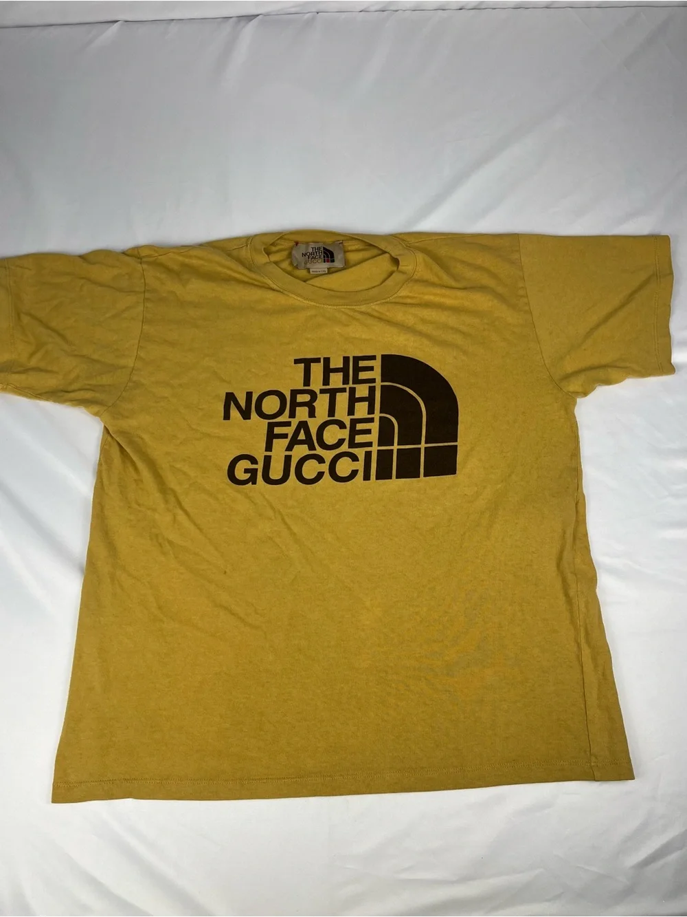 The North Face gucci north